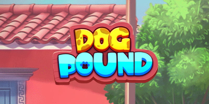 Dog Pound Honest Review:  ये स्लॉट भौंकता है या काटता है?