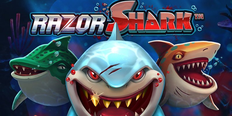 Razor Shark Honest Review: खतरे या खजाने?